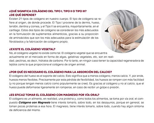 Ana Maria Lajusticia - ColĂĄgeno con magnesio â 350 gramos (sabor neutro) articulaciones fuertes y piel tersa. Regenerador de tejidos con colĂĄgeno hidrolizado tipo 1 y tipo 2. Envase para 46 dĂas. Ana Maria Lajusticia - ColĂĄgeno con magnesio â 350 gramos (sabor neutro) articulaciones fuertes y piel tersa. Regenerador de tejidos con colĂĄgeno hidrolizado tipo 1 y tipo 2. Envase para 46 dĂas.