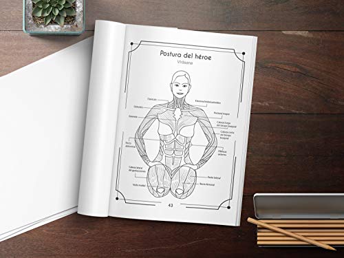 Anatomía Del Yoga Libro Para Colorear: Una Nueva Visión De Las Posturas De Yoga