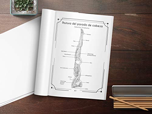 Anatomía Del Yoga Libro Para Colorear: Una Nueva Visión De Las Posturas De Yoga