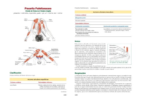 ANATOMIA DEL YOGA NUEVA EDICION AMPLIADA: Nueva edición ampliada y actualizada ANATOMIA DEL YOGA NUEVA EDICION AMPLIADA: Nueva edición ampliada y actualizada