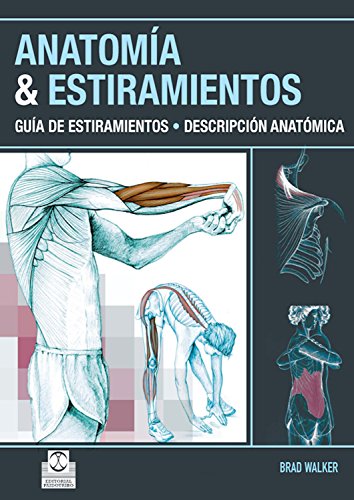 Anatomía & estiramientos: Guía de estiramientos. Descripción anatómica (Color) (Deportes)