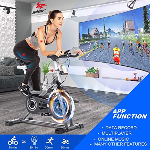 ANCHEER Bicicleta de Spinning Bicicleta Indoor de Volante de Inercia de 22kg Bicicletas de Ciclo con Conecto con App Resistencia Ajustable y Monitor LCD para Ejercicio en el Hogar (Plateado)