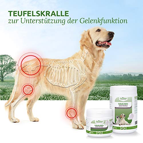 AniForte Garra del diablo en polvo para perros y gatos 500g - producto 100% natural para articulaciones, tendones y ligamentos. Ayuda a la movilidad y a la función articular, de alta aceptación AniForte Garra del diablo en polvo para perros y gatos 500g - producto 100% natural para articulaciones, tendones y ligamentos. Ayuda a la movilidad y a la función articular, de alta aceptación