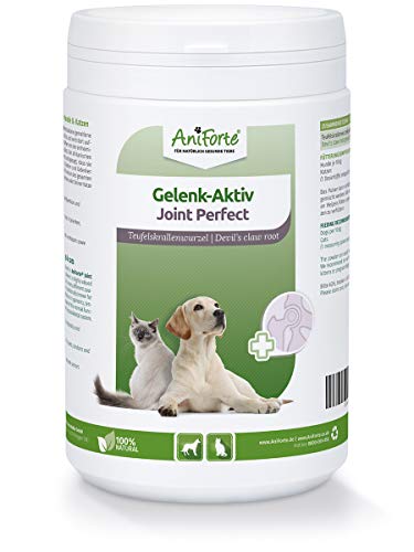 AniForte Garra del diablo en polvo para perros y gatos 500g - producto 100% natural para articulaciones, tendones y ligamentos. Ayuda a la movilidad y a la función articular, de alta aceptación AniForte Garra del diablo en polvo para perros y gatos 500g - producto 100% natural para articulaciones, tendones y ligamentos. Ayuda a la movilidad y a la función articular, de alta aceptación