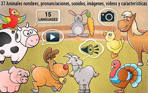 Animales Puzzle para niños pequeños Animales Puzzle para niños pequeños