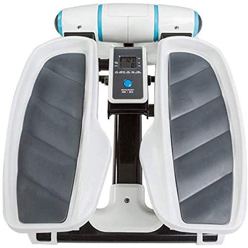 anking Swing Stepper con Ordenador y Cuerdas, Equipo de Fitness Multifuncional para máquina de Adelgazamiento doméstico, Pasos medibles de Tiempo de Ejercicio y calorías, Puede soportar 150 kg