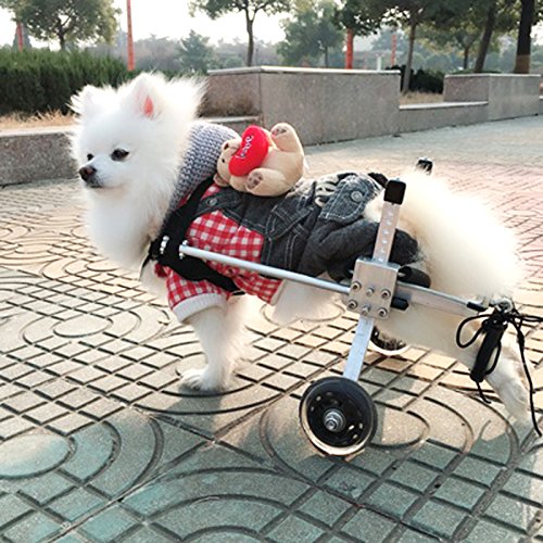Anmas Sport Silla de ruedas ajustable para perros pequeños (XS), peso de 5 a 9 kg, patas traseras rehabilitación, peso ligero (L)