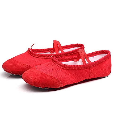 Aparatos de Ejercicios de Yoga 2 Pares de Zapatos Planos de Ballet Suave Zapatos de Baile de Yoga Latino for niños y Adultos, Talla de Calzado: 44 (Negro) (Color : Flesh Color)