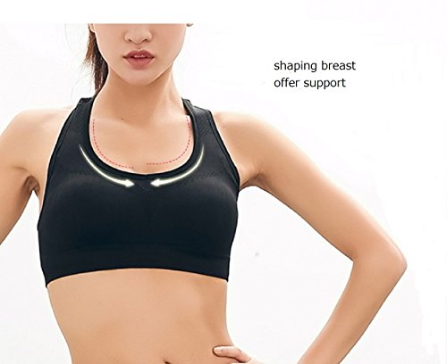 APIKA De Las Mujeres Amortiguador De Soporte De Alto Impacto Seamless Racer Back De Entrenamiento Respirable Sujetador Deportivo(XL,Negro) APIKA De Las Mujeres Amortiguador De Soporte De Alto Impacto Seamless Racer Back De Entrenamiento Respirable Sujetador Deportivo(XL,Negro)