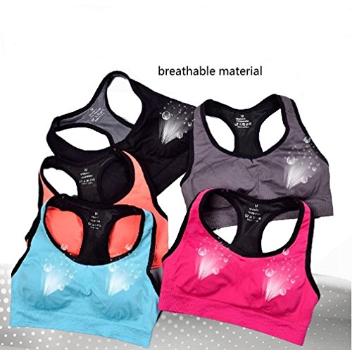 APIKA De Las Mujeres Amortiguador De Soporte De Alto Impacto Seamless Racer Back De Entrenamiento Respirable Sujetador Deportivo(XL,Negro) APIKA De Las Mujeres Amortiguador De Soporte De Alto Impacto Seamless Racer Back De Entrenamiento Respirable Sujetador Deportivo(XL,Negro)