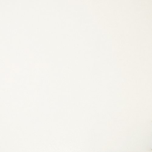 Armario Zapatero, Zapatero con Espejo, Acabado en Color Blanco Brillo, Medidas: 50 cm (Ancho) x 180 cm (Alto) x 20 cm (Fondo)