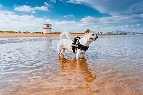 Arnés para Chaleco de Perro Arnés de Perro Transpirable Ajustable para Perros pequeños, medianos y Grandes (M, Enrejado) Arnés para Chaleco de Perro Arnés de Perro Transpirable Ajustable para Perros pequeños, medianos y Grandes (M, Enrejado)