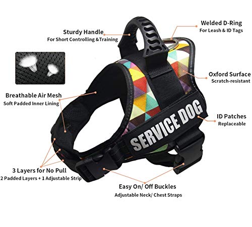 Arnés para Chaleco de Perro Arnés de Perro Transpirable Ajustable para Perros pequeños, medianos y Grandes (M, Enrejado) Arnés para Chaleco de Perro Arnés de Perro Transpirable Ajustable para Perros pequeños, medianos y Grandes (M, Enrejado)