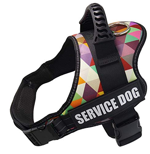 Arnés para Chaleco de Perro Arnés de Perro Transpirable Ajustable para Perros pequeños, medianos y Grandes (M, Enrejado) Arnés para Chaleco de Perro Arnés de Perro Transpirable Ajustable para Perros pequeños, medianos y Grandes (M, Enrejado)