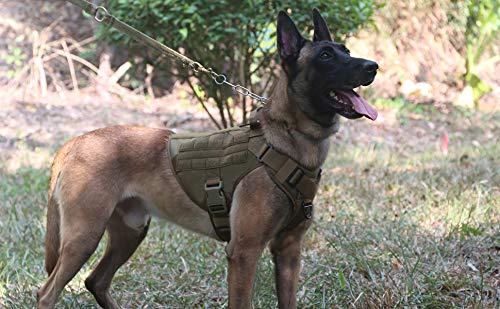 Arnés táctico ligero para perro con mango, K9 entrenamiento de trabajo Molle Chaleco, clip frontal sin tirar, panel de gancho y bucle para identificación de perro personalizado parche de insignia