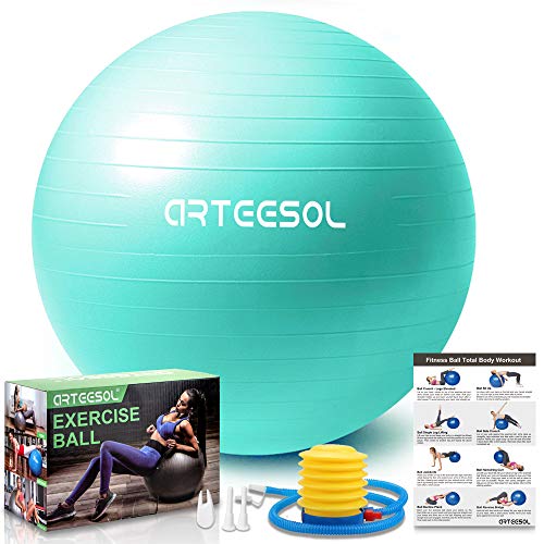 arteesol Balón de Ejercicio Anti-explosión, Pelota de Pilates 45cm/55cm/65cm/75cm/85cm Fitness Yoga Ball Estabilizador de balón de Equilibrio Resistente con Bomba rápida para Core Force