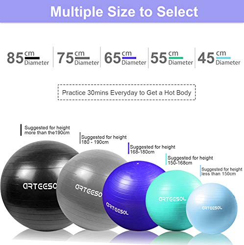 arteesol Balón de Ejercicio Anti-explosión, Pelota de Pilates 45cm/55cm/65cm/75cm/85cm Fitness Yoga Ball Estabilizador de balón de Equilibrio Resistente con Bomba rápida para Core Force