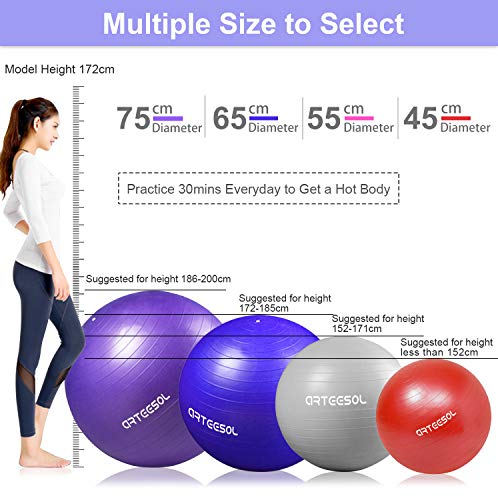 arteesol Bola de Ejercicio 45cm / 55cm / 65cm / 75cm Bola de Yoga Auti Burst Core Gym Swiss Ball con Bomba rápida para Entrenamiento de Pilates Fitness Parto Embarazo (Plata, 55cm)