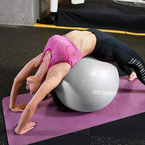 arteesol Bola de Ejercicio 45cm / 55cm / 65cm / 75cm Bola de Yoga Auti Burst Core Gym Swiss Ball con Bomba rápida para Entrenamiento de Pilates Fitness Parto Embarazo (Plata, 55cm)