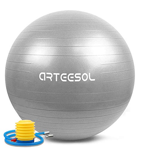 arteesol Bola de Ejercicio 45cm / 55cm / 65cm / 75cm Bola de Yoga Auti Burst Core Gym Swiss Ball con Bomba rápida para Entrenamiento de Pilates Fitness Parto Embarazo (Plata, 55cm)