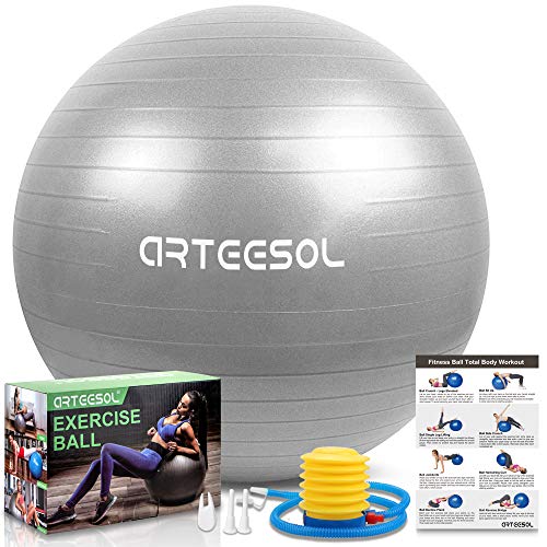 arteesol Bola de Ejercicio 45cm / 55cm / 65cm / 75cm Bola de Yoga Auti Burst Core Gym Swiss Ball con Bomba rápida para Entrenamiento de Pilates Fitness Parto Embarazo (Plata, 65cm)