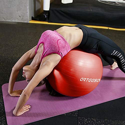 arteesol Bola de Ejercicio 45cm / 55cm / 65cm / 75cm Bola de Yoga Auti Burst Core Gym Swiss Ball con Bomba rápida para Entrenamiento de Pilates Fitness Parto Embarazo (Plata, 65cm)