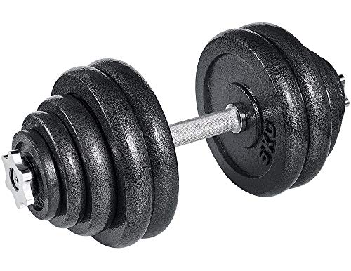 arteesol - Mancuernas Ajustables de Hierro Fundido Individual 10 kg, 15 kg, 20 kg, 30 kg, para Profesionales del Fitness (1x30kg) arteesol - Mancuernas Ajustables de Hierro Fundido Individual 10 kg, 15 kg, 20 kg, 30 kg, para Profesionales del Fitness (1x30kg)