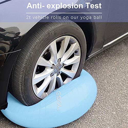 arteesol Pelota de Ejercicio, 45cm/55cm/65cm/75cm Pelota de Yoga Fitness Estabilizador Resistente Bola de Equilibrio con Bomba rápida para la Fuerza del núcleo (55cm, Luna Azul) arteesol Pelota de Ejercicio, 45cm/55cm/65cm/75cm Pelota de Yoga Fitness Estabilizador Resistente Bola de Equilibrio con Bomba rápida para la Fuerza del núcleo (55cm, Luna Azul)