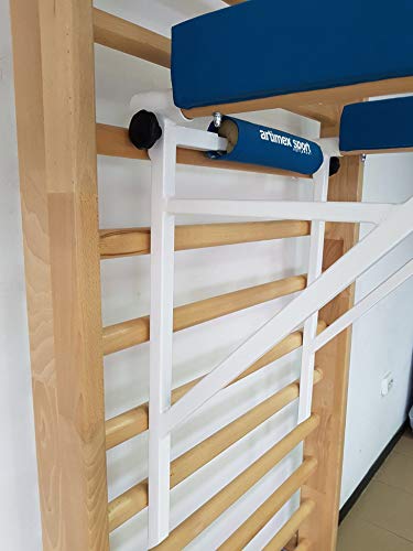 ARTIMEX Barra Triceps por espalderas - se Utiliza en hogares, gimnasios o centros de Fitness para Entrenamiento y Fitness, código 270 ARTIMEX Barra Triceps por espalderas - se Utiliza en hogares, gimnasios o centros de Fitness para Entrenamiento y Fitness, código 270