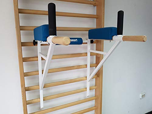 ARTIMEX Barra Triceps por espalderas - se Utiliza en hogares, gimnasios o centros de Fitness para Entrenamiento y Fitness, código 270 ARTIMEX Barra Triceps por espalderas - se Utiliza en hogares, gimnasios o centros de Fitness para Entrenamiento y Fitness, código 270