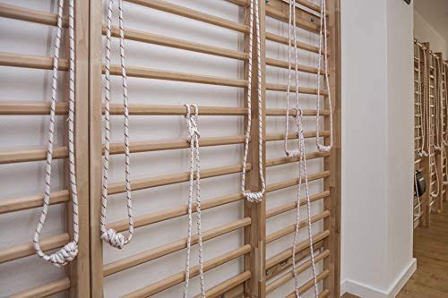 ARTIMEX Escalera de Madera Sueca (Pared de Resorte) para Fisioterapia y Gimnasia en casa, gimnasios, clínicas, centros de Fitness y escuelas - Espaldera de Madera de Haya, código 216-F ARTIMEX Escalera de Madera Sueca (Pared de Resorte) para Fisioterapia y Gimnasia en casa, gimnasios, clínicas, centros de Fitness y escuelas - Espaldera de Madera de Haya, código 216-F