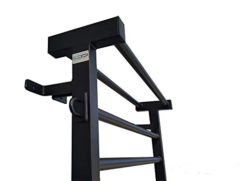 ARTIMEX espaldera de Acero (Escalera Sueca) para Gimnasia - utilizadas en hogares, gimnasios o al Aire Libre, 230x90 cm, código 221-Metall