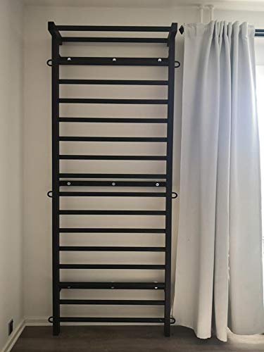 ARTIMEX espaldera de Acero (Escalera Sueca) para Gimnasia - utilizadas en hogares, gimnasios o al Aire Libre, 230x90 cm, código 221-Metall