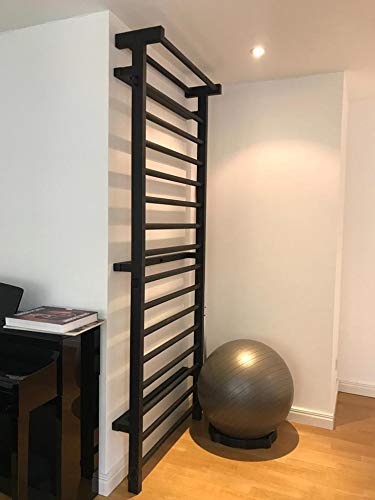 ARTIMEX espaldera de Acero (Escalera Sueca) para Gimnasia - utilizadas en hogares, gimnasios o al Aire Libre, 230x90 cm, código 221-Metall