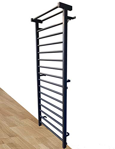 ARTIMEX espaldera de Acero (Escalera Sueca) para Gimnasia - utilizadas en hogares, gimnasios o al Aire Libre, 230x90 cm, código 221-Metall