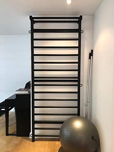 ARTIMEX espaldera de Acero (Escalera Sueca) para Gimnasia - utilizadas en hogares, gimnasios o al Aire Libre, 230x90 cm, código 221-Metall