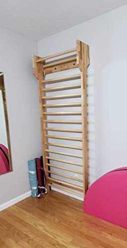 ARTIMEX - Espa;ldera gimnasia (escalera de sueco) para Ejercicios de Schroth, para terapia física y gimnasia – Espaldera de madera de haya, código 216-F-Schroth ARTIMEX - Espa;ldera gimnasia (escalera de sueco) para Ejercicios de Schroth, para terapia física y gimnasia – Espaldera de madera de haya, código 216-F-Schroth