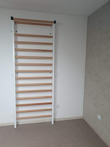 ARTIMEX espaldera Metal/Madera para Fisioterapia y Gimnasia - Utilizado en hogares, gimnasios, clínicas y centros de acondicionamiento físico - 230x90 cm, código 221-M