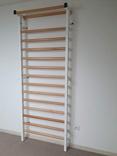 ARTIMEX espaldera Metal/Madera para Fisioterapia y Gimnasia - Utilizado en hogares, gimnasios, clínicas y centros de acondicionamiento físico - 230x90 cm, código 221-M