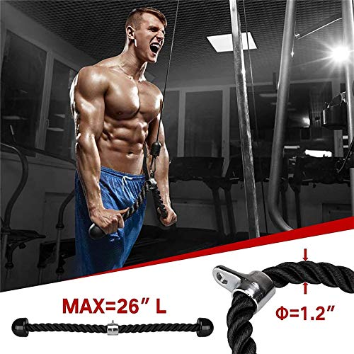 Asolym Rodillo de Muñeca para Antebrazo Entrenador de Fuerza para Brazos con Sistema de Polea de Alto Rendimiento DIY Máquina de Cable de Polea de Fitness para Jalones de lat Asolym Rodillo de Muñeca para Antebrazo Entrenador de Fuerza para Brazos con Sistema de Polea de Alto Rendimiento DIY Máquina de Cable de Polea de Fitness para Jalones de lat