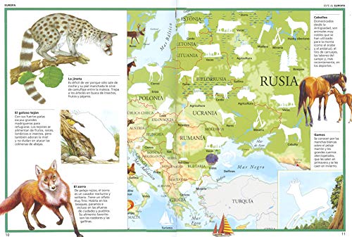 Atlas De Animales Del Mundo (Pegatinas) (Atlas De Animales Con Pegatina)
