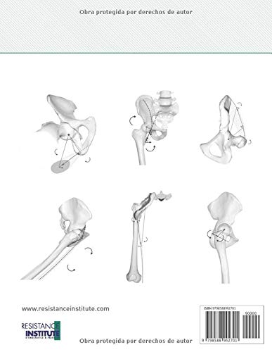 ATLAS DE BIOMECÁNICA MUSCULAR. GLÚTEO Y CADERA.: Más de 300 páginas y 800 ilustraciones detallando la mecánica de los músculos de la cadera en los diferentes planos y posiciones articulares