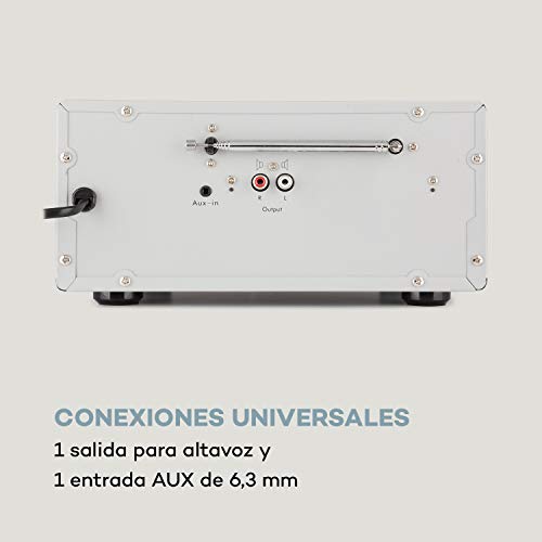 auna Connect System - Equipo de música, 2 Altavoces estéreo, Radio por Internet/Dab+/FM, Reproductor de CD, Puerto USB, Compatible con MP3, Bluetooth, Spotify Connect, Mando a Distancia, Plateado