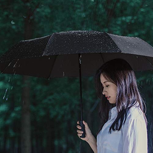 Automatic Umbrella, negro Automatic Umbrella, negro