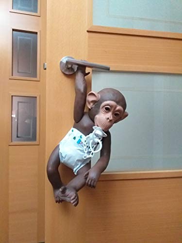 Baby Chimp Mono Bebe de chimpance babychimp.es