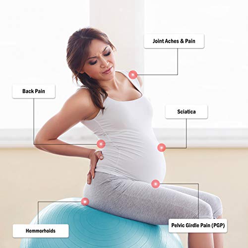 BABYGO Pelota de Pilates Embarazadas, Fitball, Ejercicio, Balón de Gimnasia Anti-Burst 1000 KG para Parto y Embarazo,Yoga, Fitness Bola con Bomba + Gratis Manual de Ejercicios 65cm