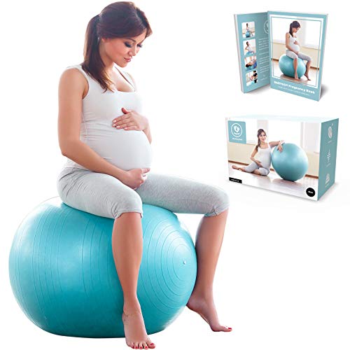 BABYGO Pelota de Pilates Embarazadas, Fitball, Ejercicio, Balón de Gimnasia Anti-Burst 1000 KG para Parto y Embarazo,Yoga, Fitness Bola con Bomba + Gratis Manual de Ejercicios 65cm