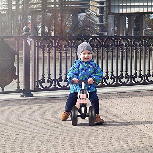 Bamny Bicicleta sin Pedales, Triciclo sin Pedales para Niños Entre 10 y 24 Meses (Rosa)