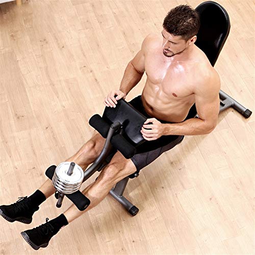 Bancos ajustables Taburete con Mancuernas Tablero de Abdominales Plegable Press de banca Silla de Ejercicios Bird Fitness Equipo de Ejercicios Abdominales multifuncionales