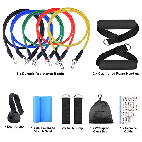 Bandas de Resistencia, Bandas Elásticas Fitness Professional Gym Tube Bandas de Goma para Ejercicios 5 Colores BC007 (Bandas de Resistencia)